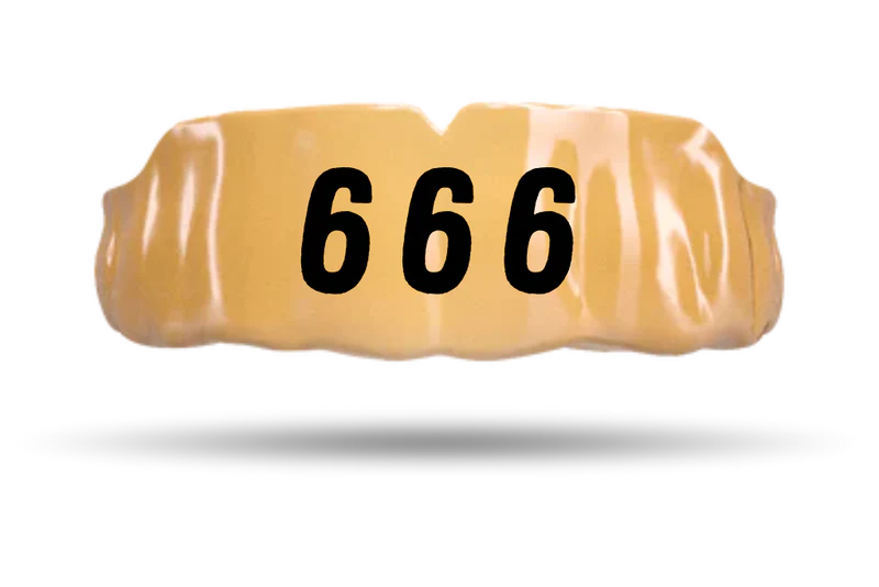 Angel Numbers