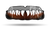 Shark Teeth