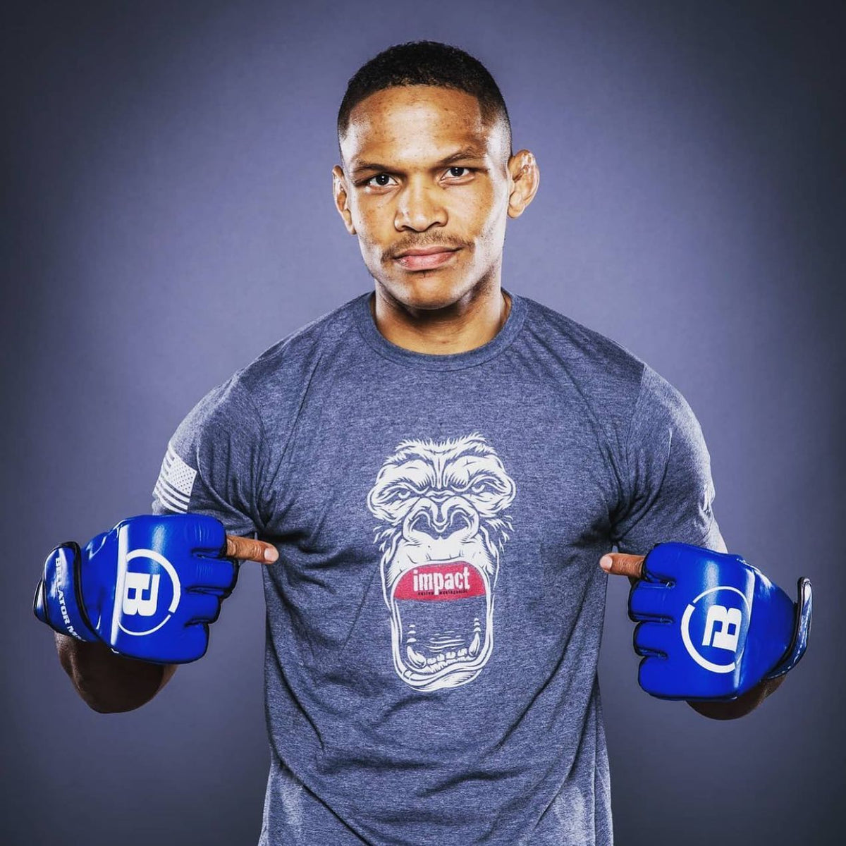 Gorilla Graphite Tee