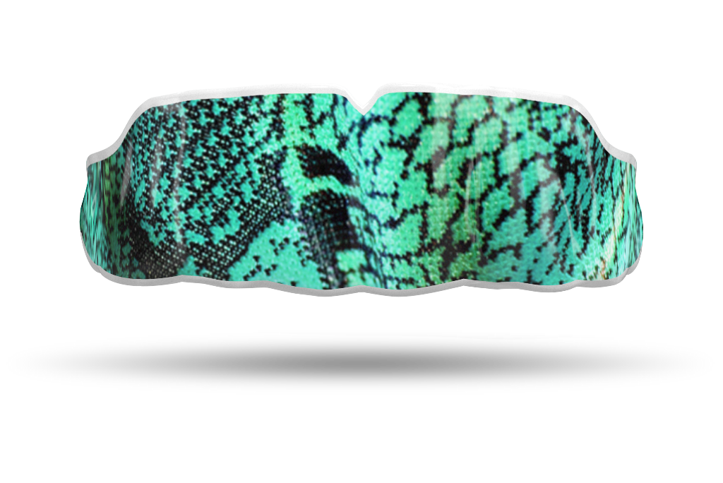 Teal Snake