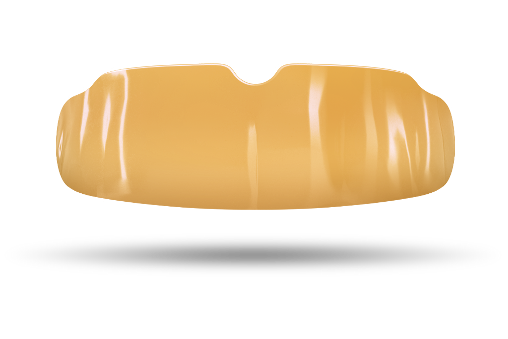 $29 Holiday Special - Bold Gold QuickFIT + Case