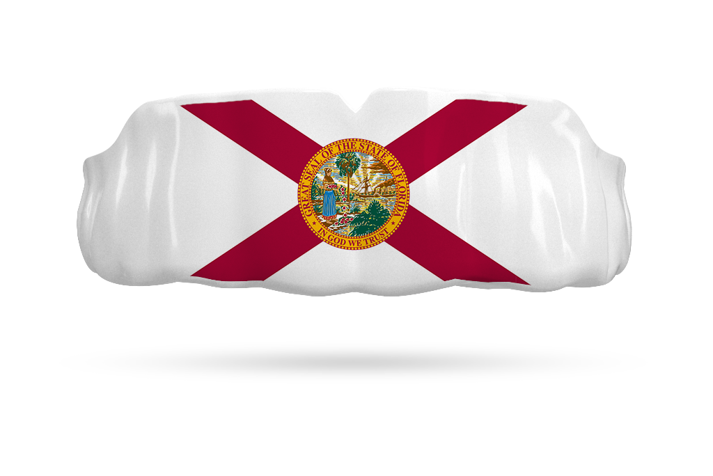 Florida State Flag