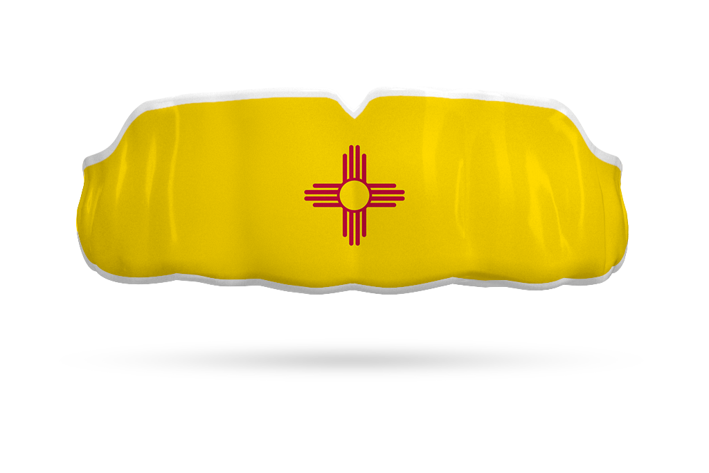 New Mexico State Flag