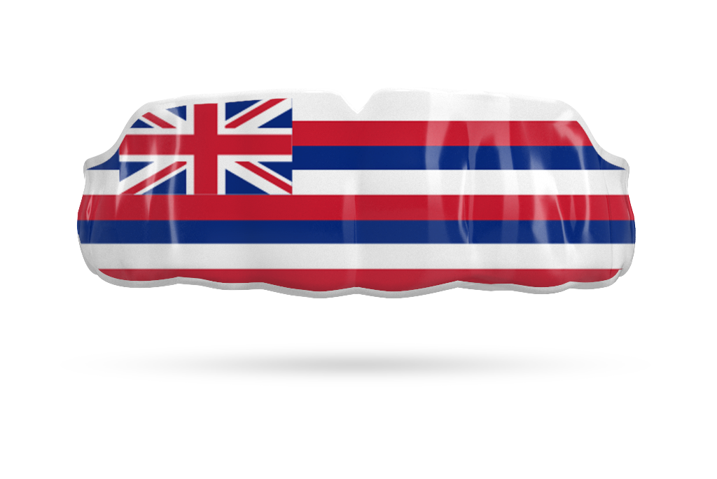 Hawaii State Flag